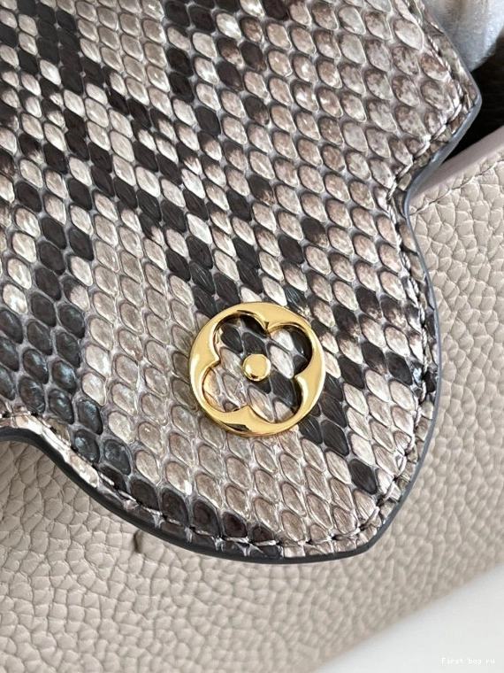 First bag ru VUITTON CAPUCINES MINI LOUIS 0802